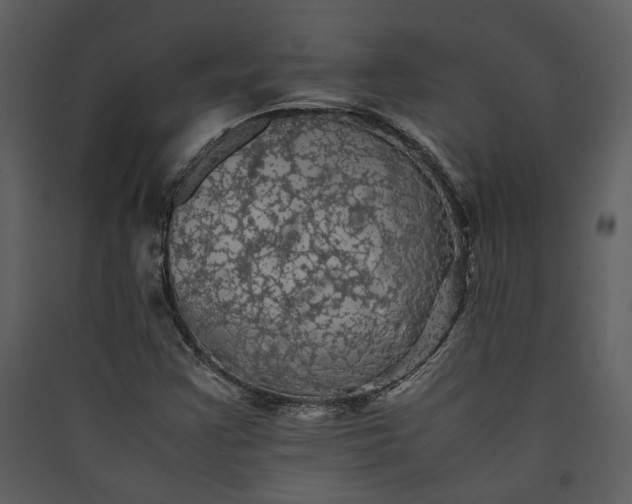 X0000089921355200707131402
