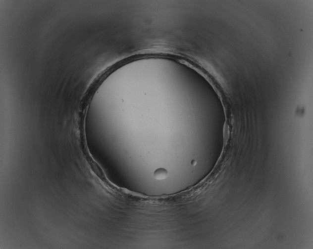 X0000089921356200707131402