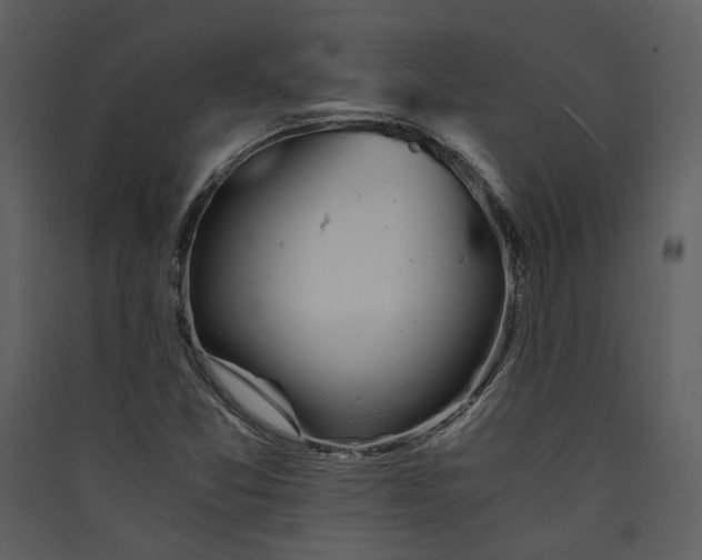 X0000089921357200707131401