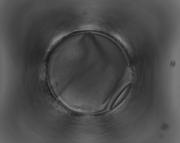 X0000089921358200707131401