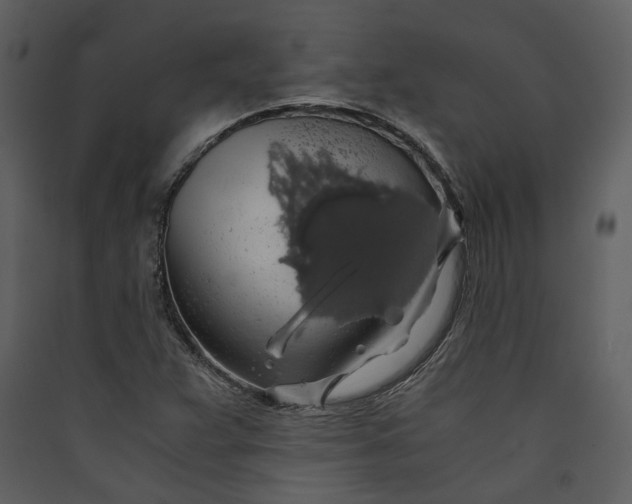 X0000089921359200707131401