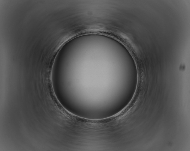 X0000089921361200707131401