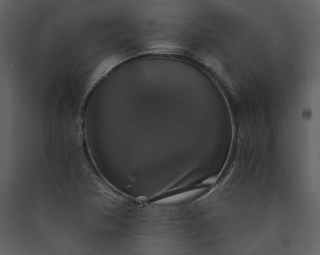 X0000089921362200707131401