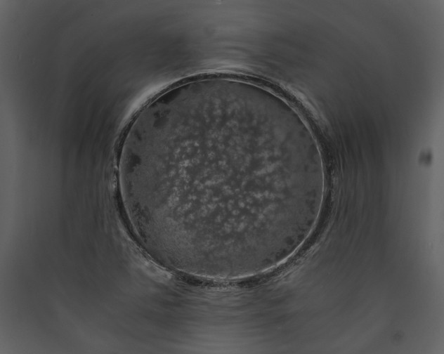 X0000089921363200707131401