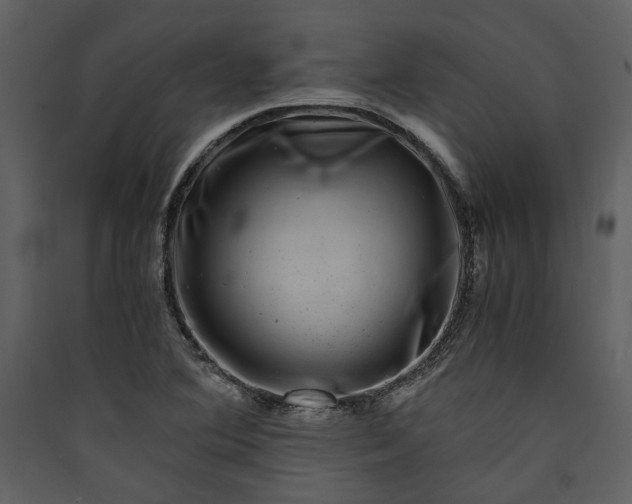 X0000089921364200707131401