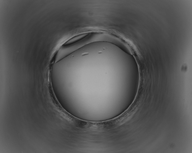 X0000089921365200707131401