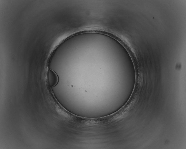 X0000089921366200707131401