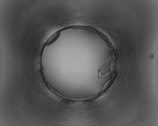 X0000089921367200707131401