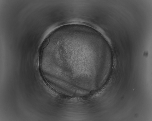 X0000089921368200707131401