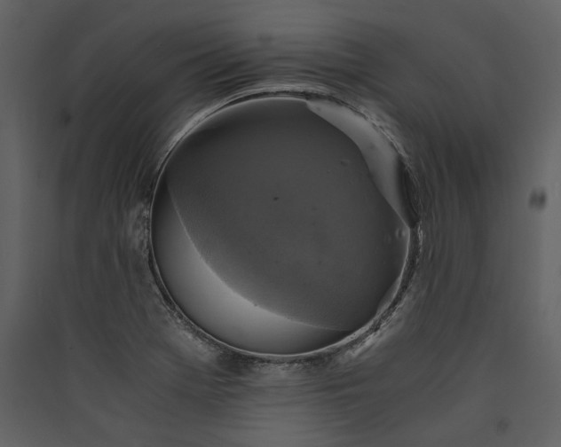X0000089921369200707131401