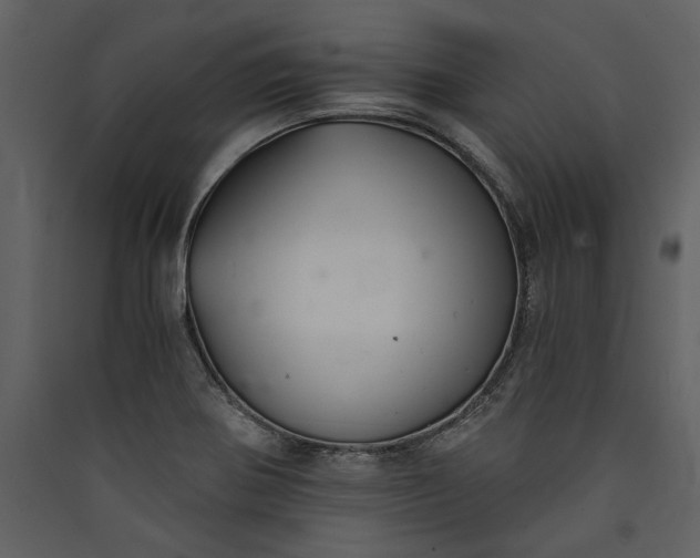 X0000089921370200707131401