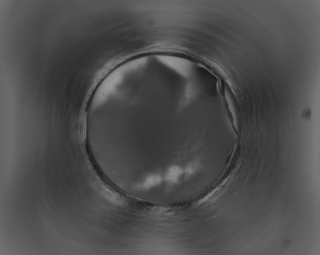 X0000089921371200707131401