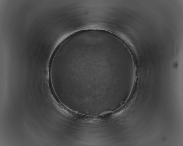 X0000089921372200707131401