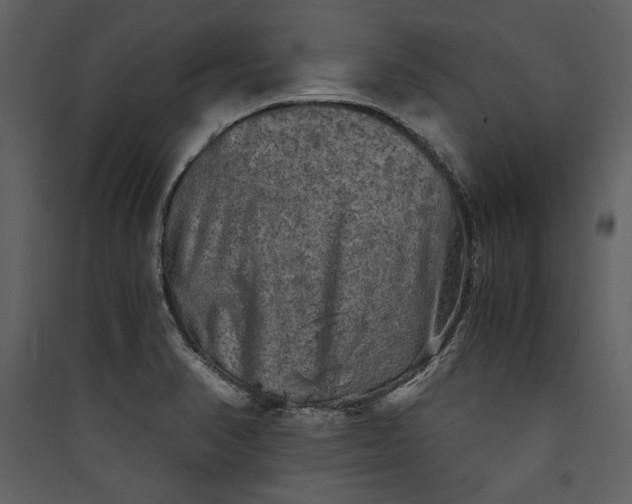 X0000089921374200707131401