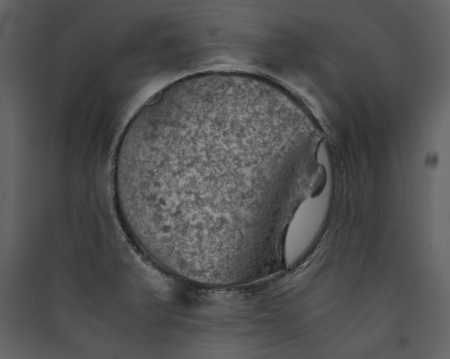 X0000089921375200707131401