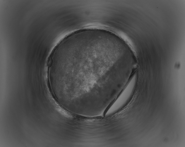 X0000089921376200707131401