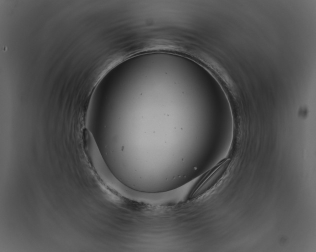 X0000089921377200707131401