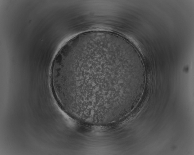 X0000089921379200707131401