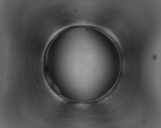 X0000089921380200707131401