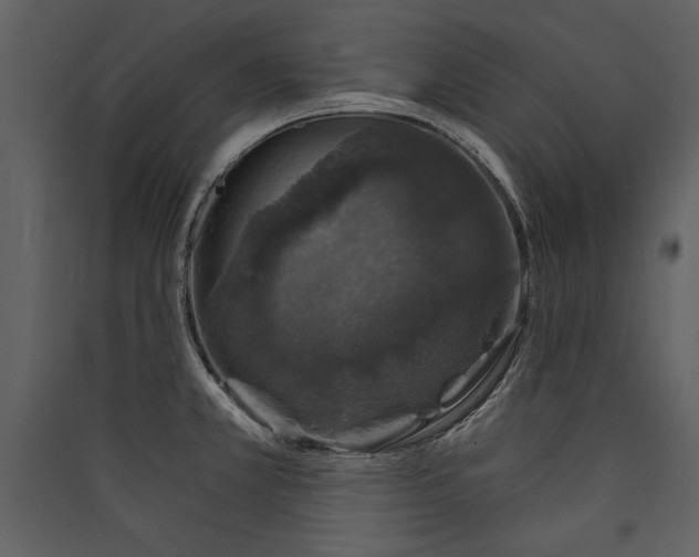X0000089921381200707131401