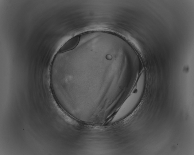 X0000089921382200707131401