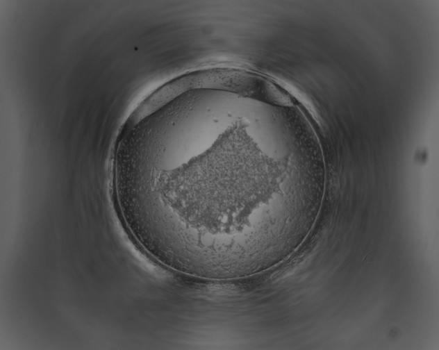 X0000089921383200707131401