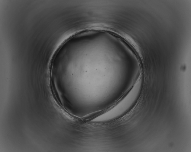 X0000089921384200707131401