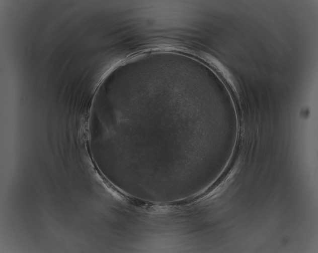 X0000089921385200707131401