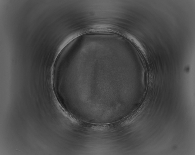 X0000089921386200707131401