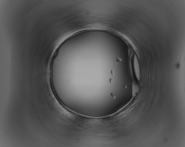 X0000089921387200707131401
