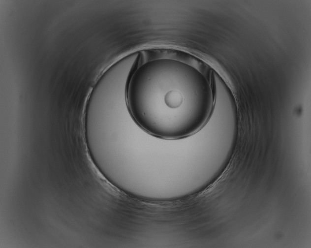 X0000089921388200707131401