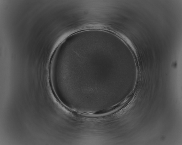 X0000089921389200707131401