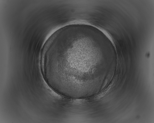 X0000089921390200707131401