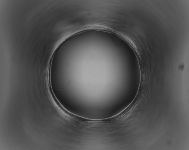 X0000089921391200707131401