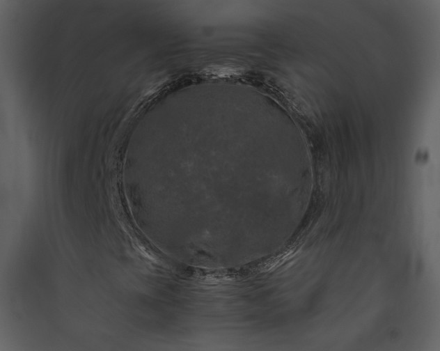 X0000089921393200707131400
