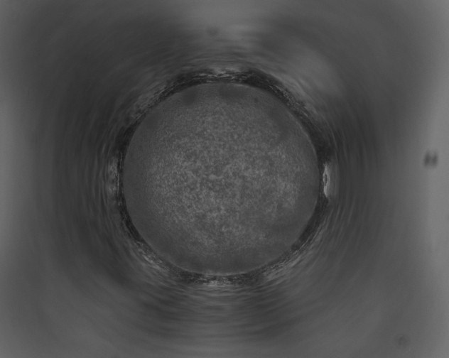 X0000089921395200707131400
