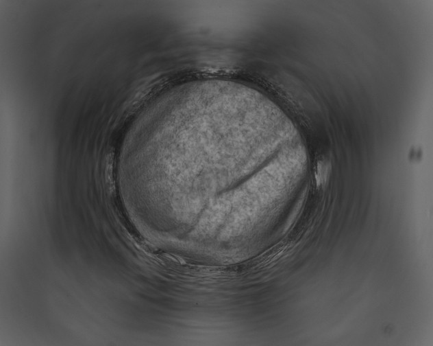 X0000089921396200707131400