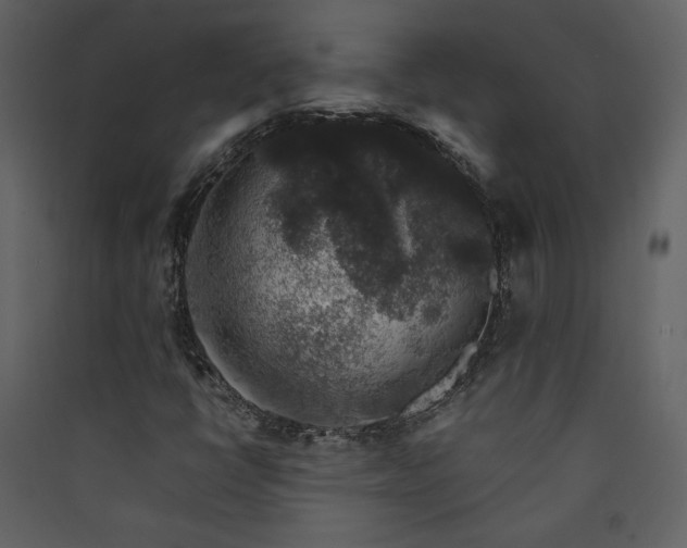 X0000089921398200707131400