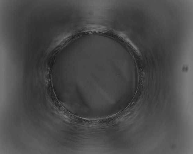 X0000089921399200707131400