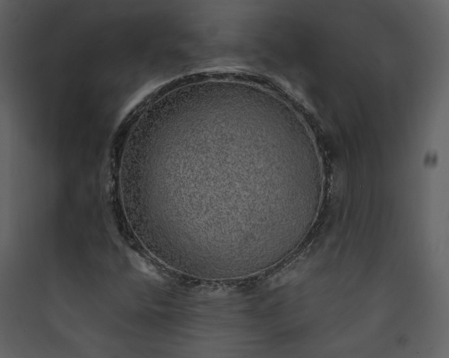 X0000089921400200707131400
