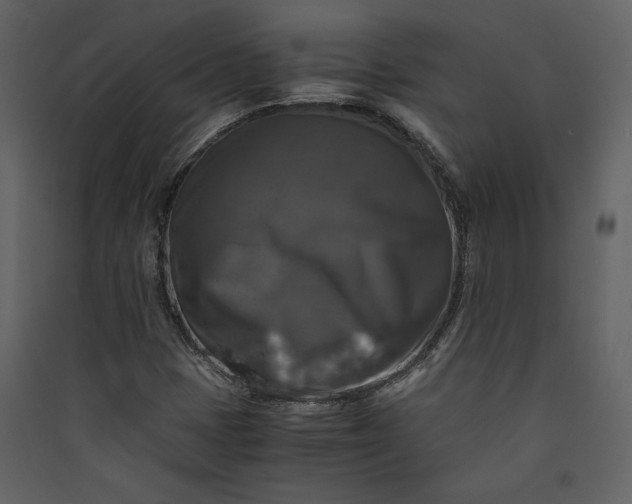 X0000089921401200707131400