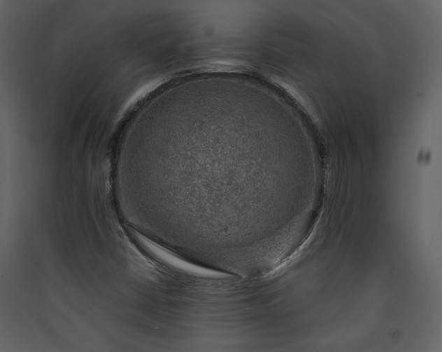 X0000089921402200707131400