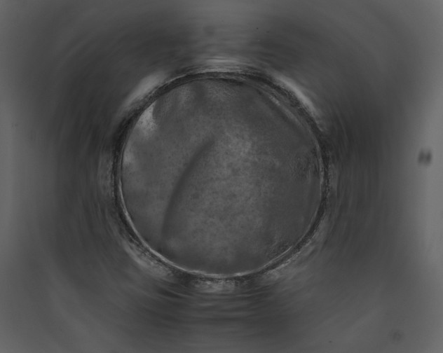 X0000089921403200707131400