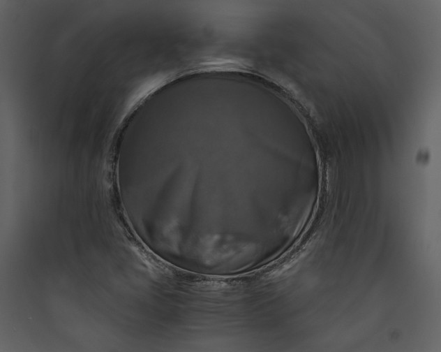 X0000089921405200707131400