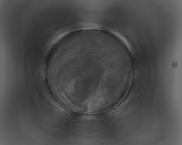 X0000089921407200707131400