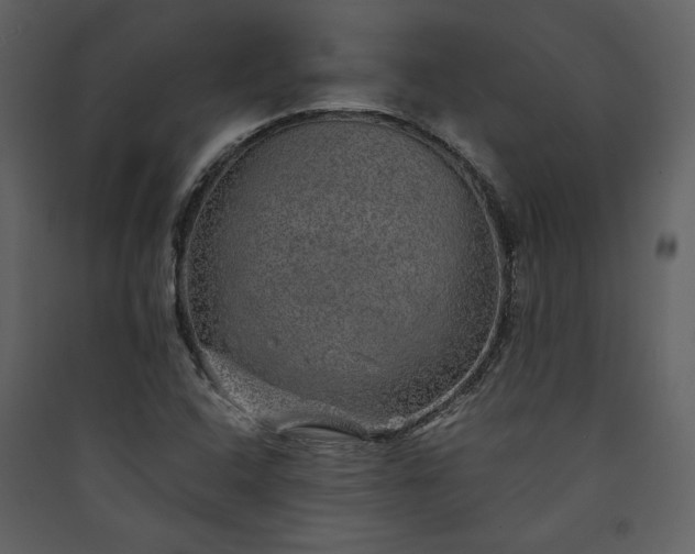 X0000089921408200707131400