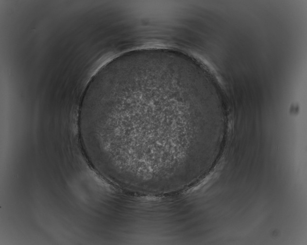 X0000089921409200707131400