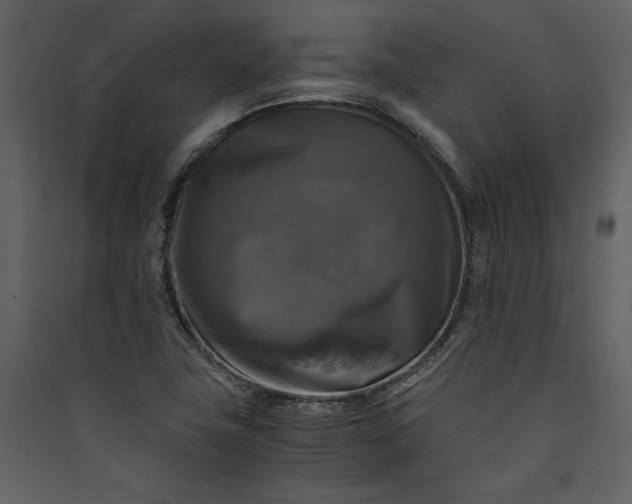 X0000089921411200707131401