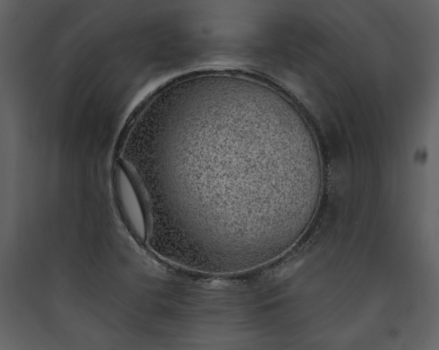 X0000089921412200707131401