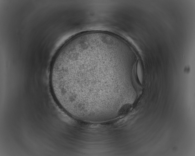 X0000089921416200707131401